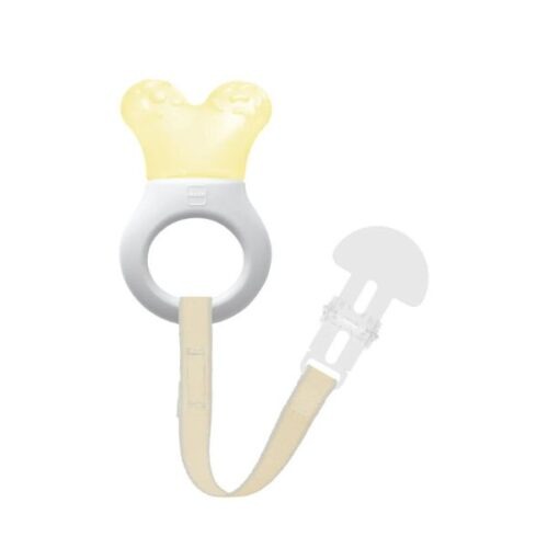 Mini Anneau Dentition + Attache
